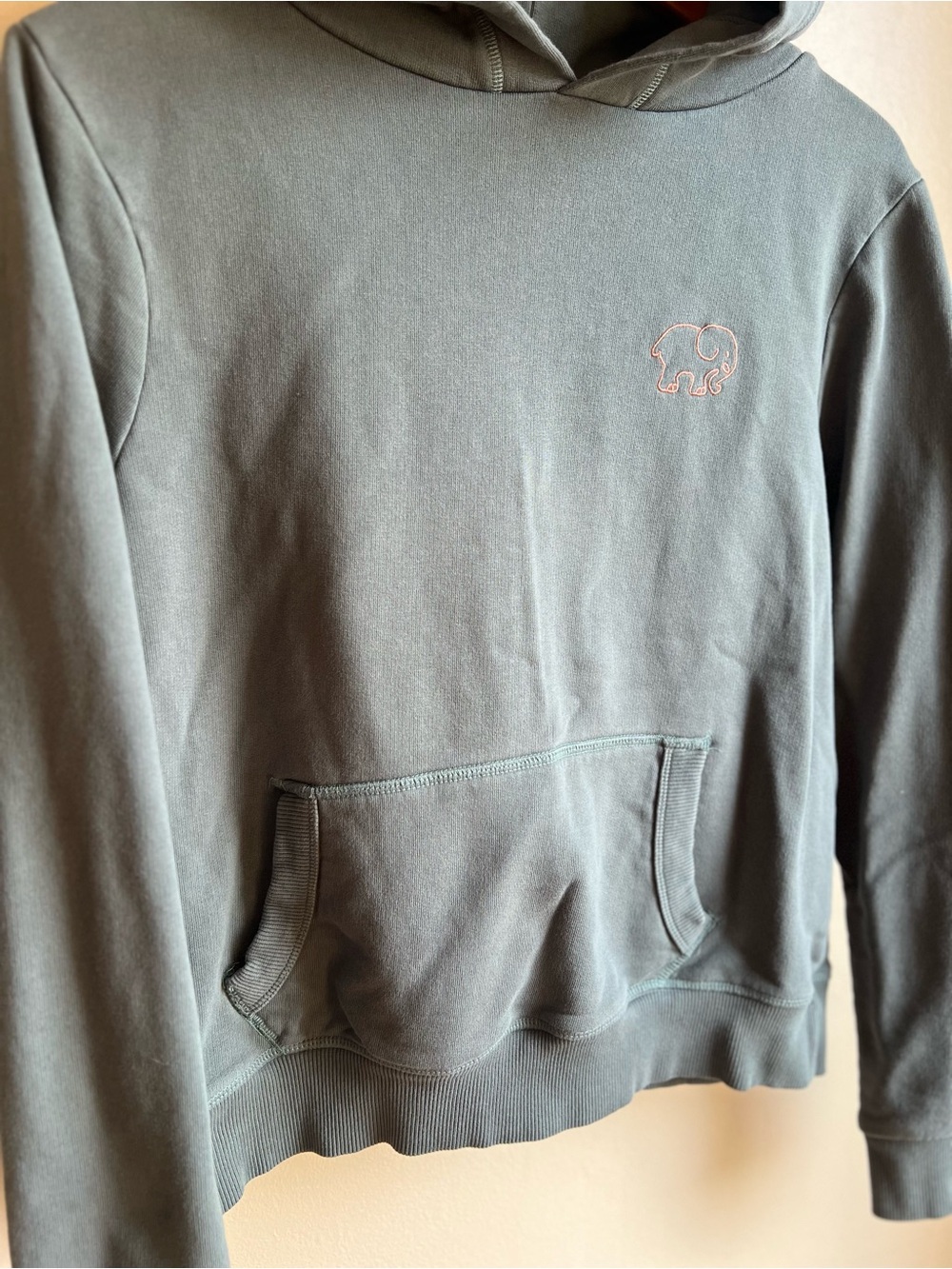 Ivory Ella Women’s Small Blue Gray Pink Paisley Elephant Pullover Hoodie - Picture 3 of 8